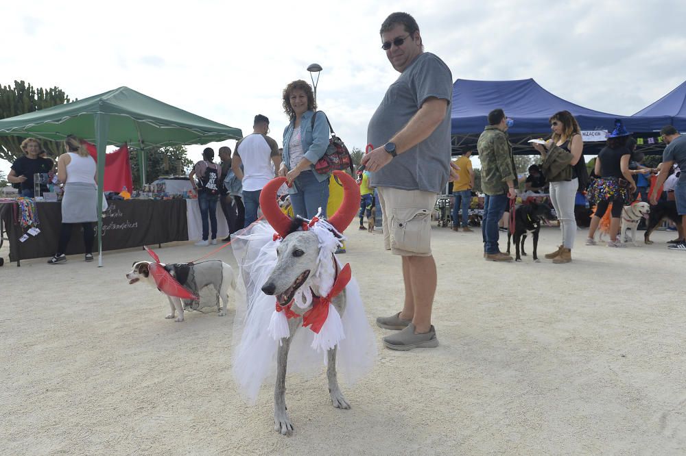 Halloween en el parque canino de Gran Alacant