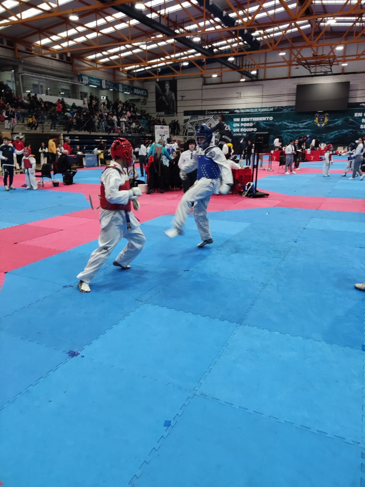 El Campeonato Gallego de Promesas y Veteranos llena O Gatañal de aficionados al taekwondo