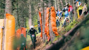 La organización espera recibir una gran afluencia de público