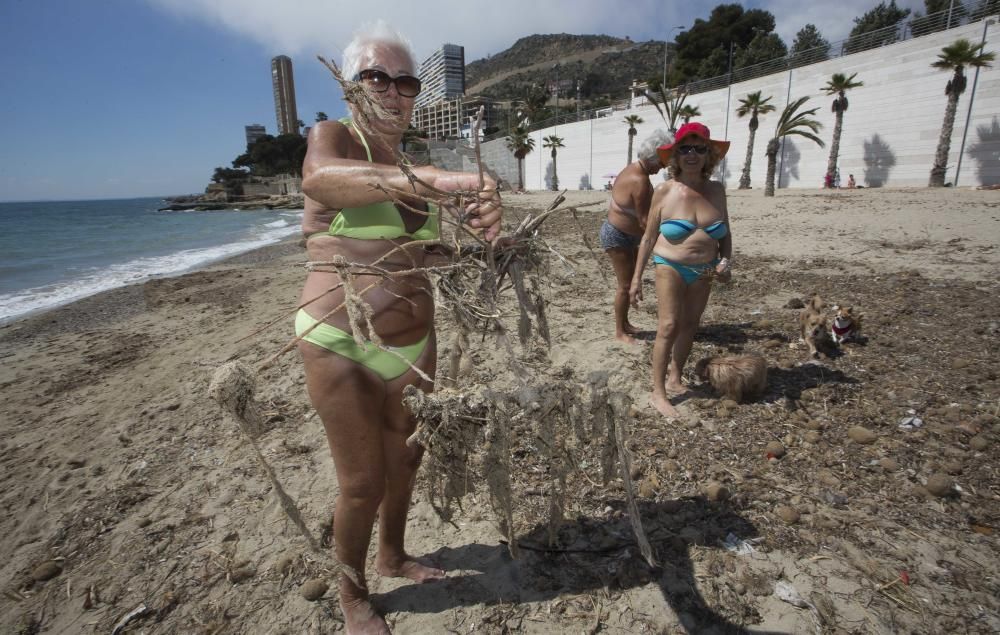 Suciedad en la playa de la Albufereta tras la riada