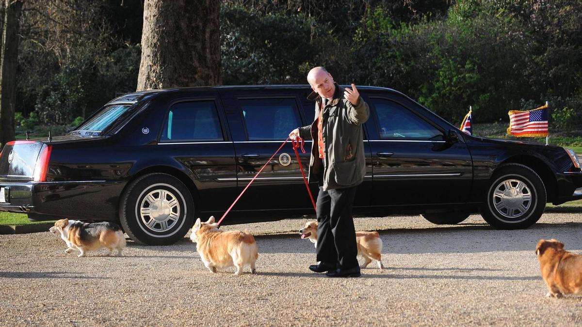 En la imagen, los cuatro perros que acompañaron a la reina Isabel II hasta el final de sus días