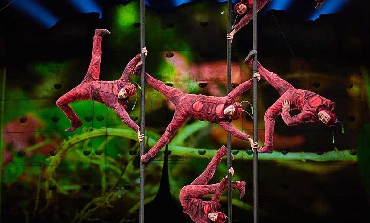 El espectáculo ‘Ovo’ está basado en la vida de los insectos.