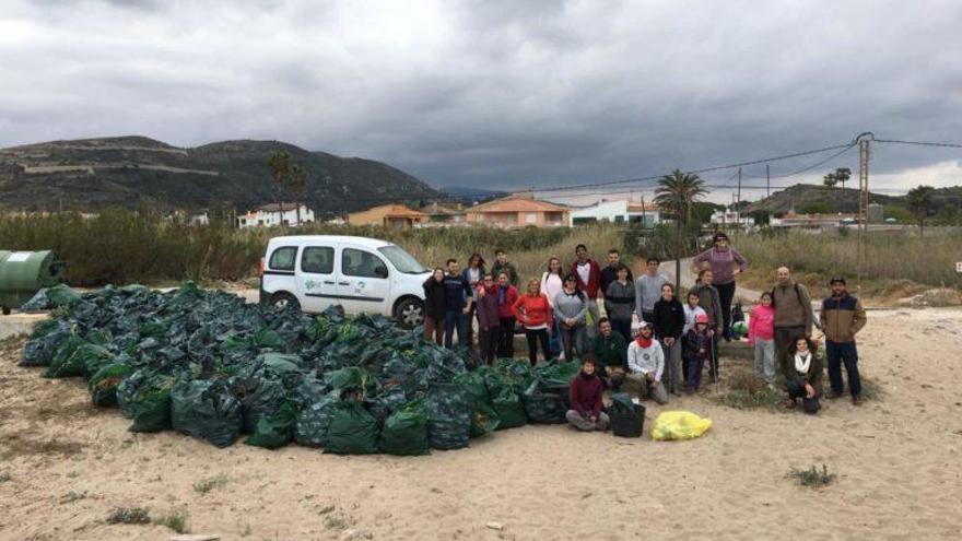 Retiran dos toneladas de plantas invasoras en la playa del Dosel de Cullera