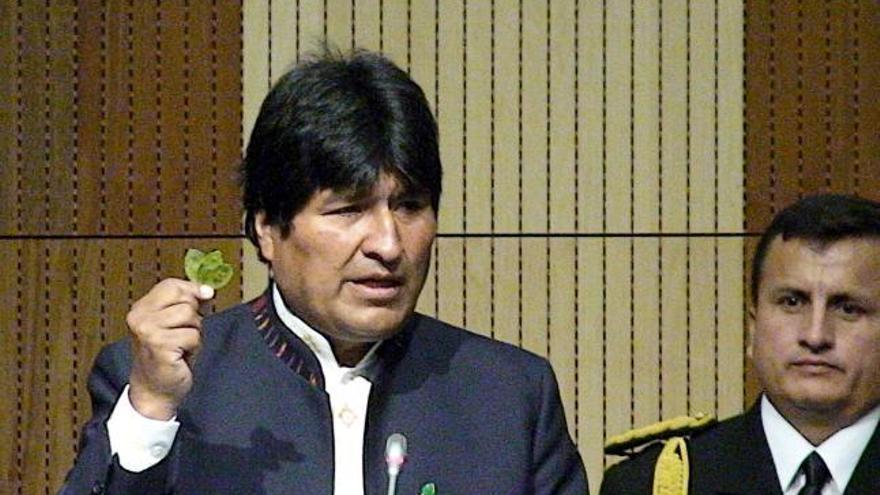 Evo Morales pide despenalizar la coca masticando una hoja ante la ONU