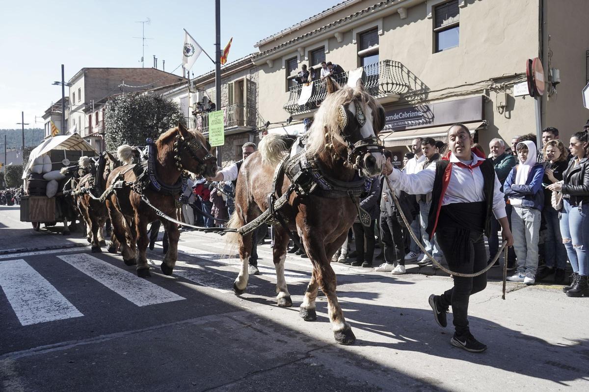 Un dels carros participants a la Festa dels Traginers de l’any passat