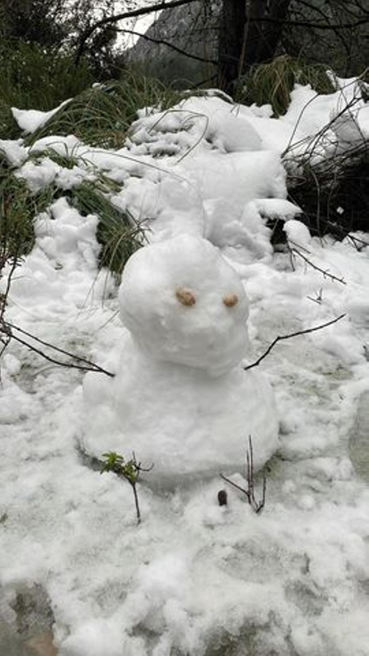 Las fotos de la nieve en Mallorca de nuestros lectores