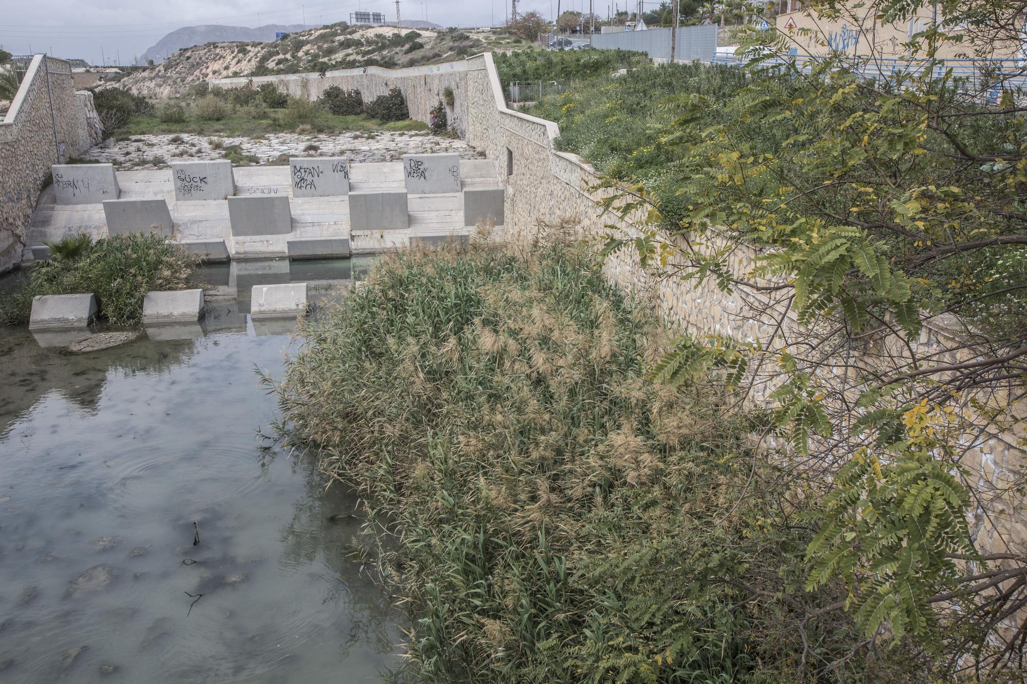 Nadie quiere limpiar el Barranco de las Ovejas en Alicante