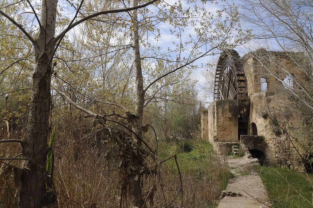 Los Sotos de la Albolafia de Córdoba