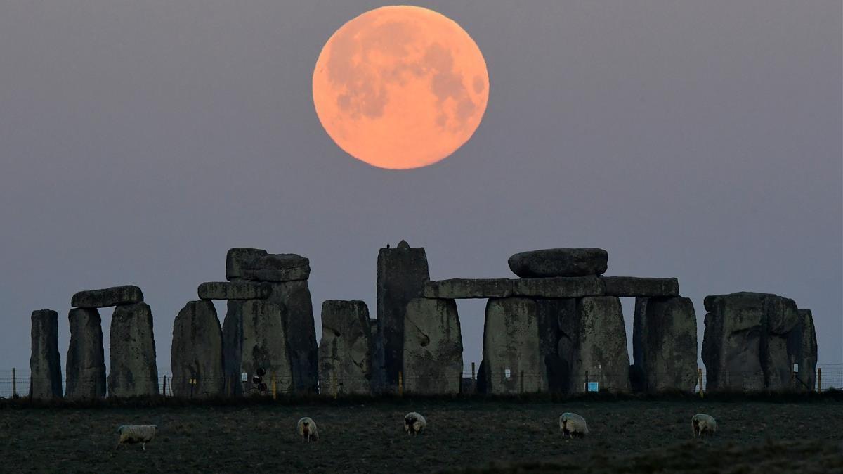 Ovejas pastando en el Círculo de Stonehenge, en el Reino Unido, este martes, con la superluna sobre las piedras.