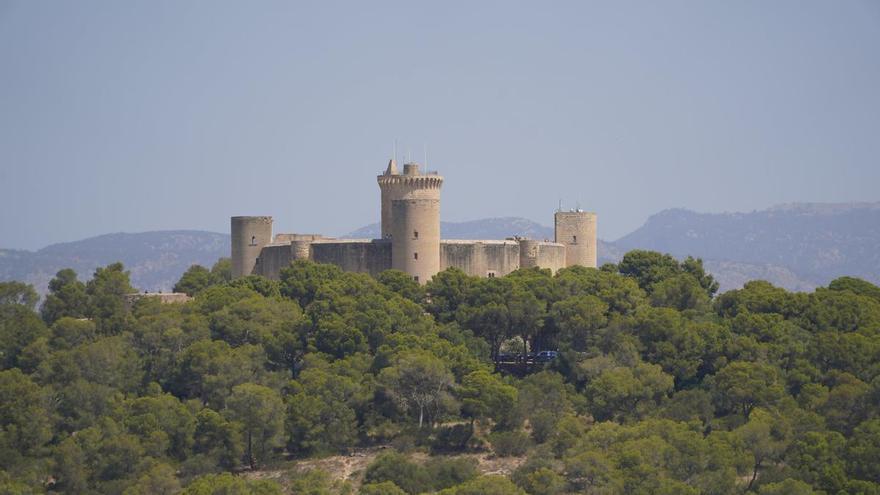 El Ajuntament adjudica las obras de mejora de los accesos al Castell de Bellver y la recuperación y renaturalización de su entorno forestal