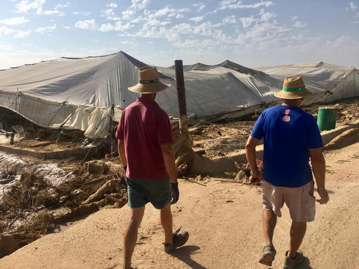 Los agricultores de Pilar de la Horadada hacen balance de daños