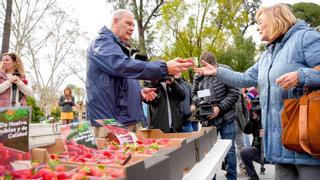 Reparten 200 tarrinas de fresas de Huelva en Sevilla:  Son "sanas, seguras y sostenibles"
