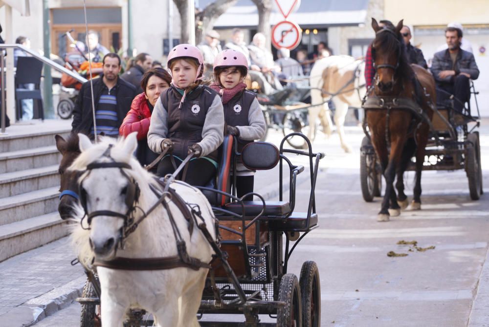 Festa de Sant Antoni Abad a Torroella de Montgrí