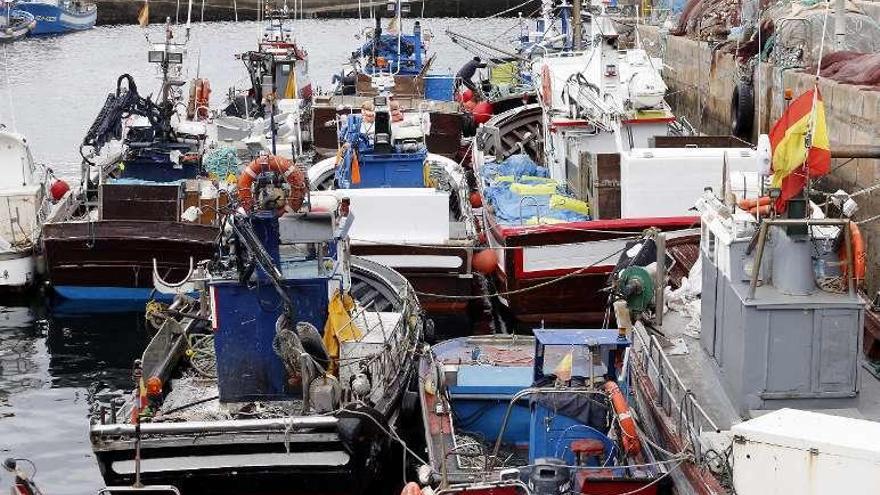 Barcos de cerco amarrados en señal de protesta en Vigo. // Marta G. Brea