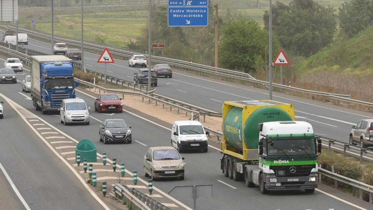 Camiones circulando por la autovía en Córdoba, este viernes.