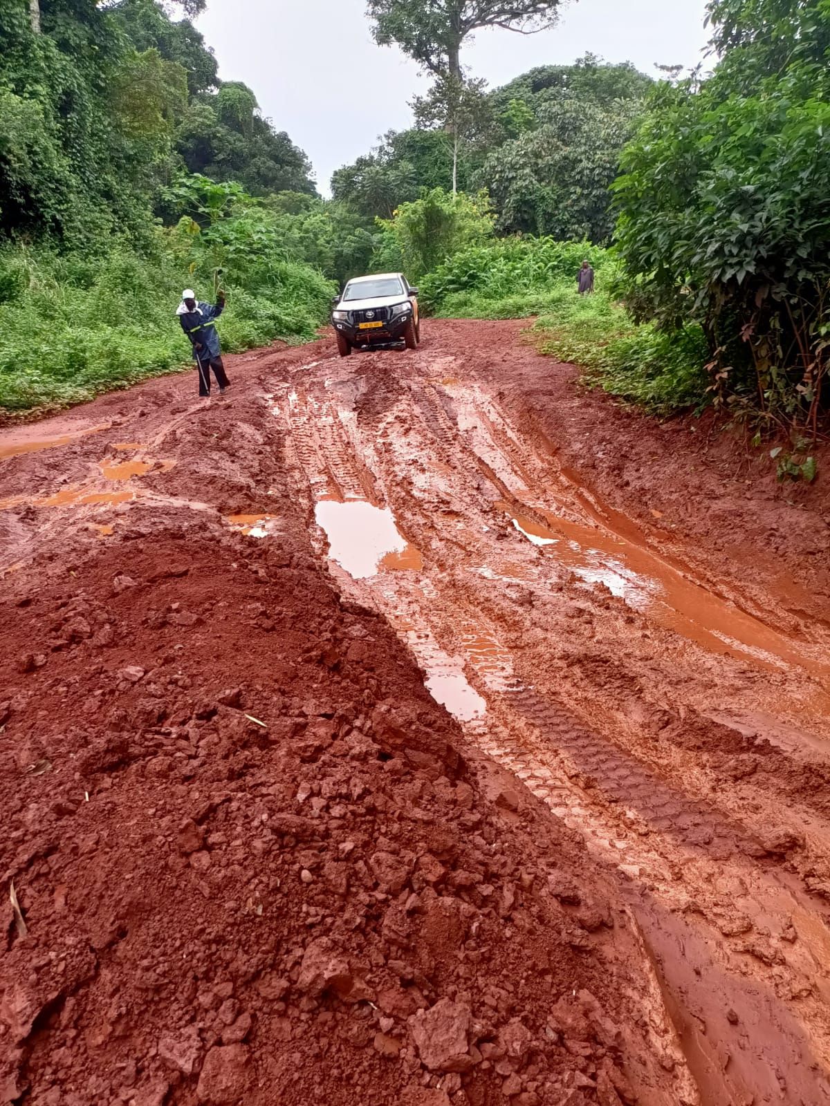 La Fundación Bangassou cumple 25 años