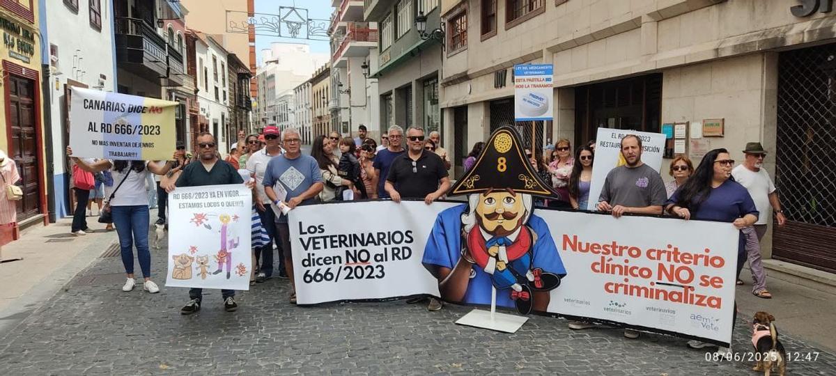 Detalle de la manifestación de La Palma.