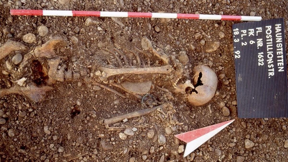 esqueleto de un individuo masculino augsburg