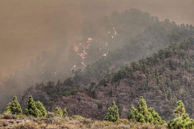 Incendio en Tenerife