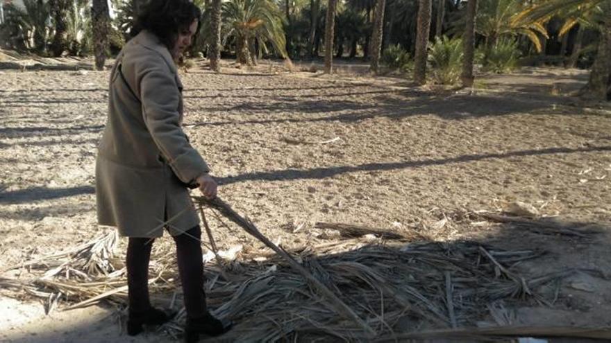 Un huerto usado como «vertedero»