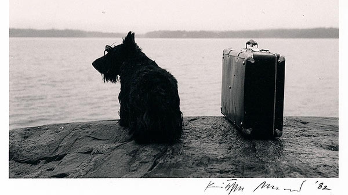 Una visita a l’exposició ’Llocs secrets i petits detalls’, a la galeria Valid Foto de Barcelona.