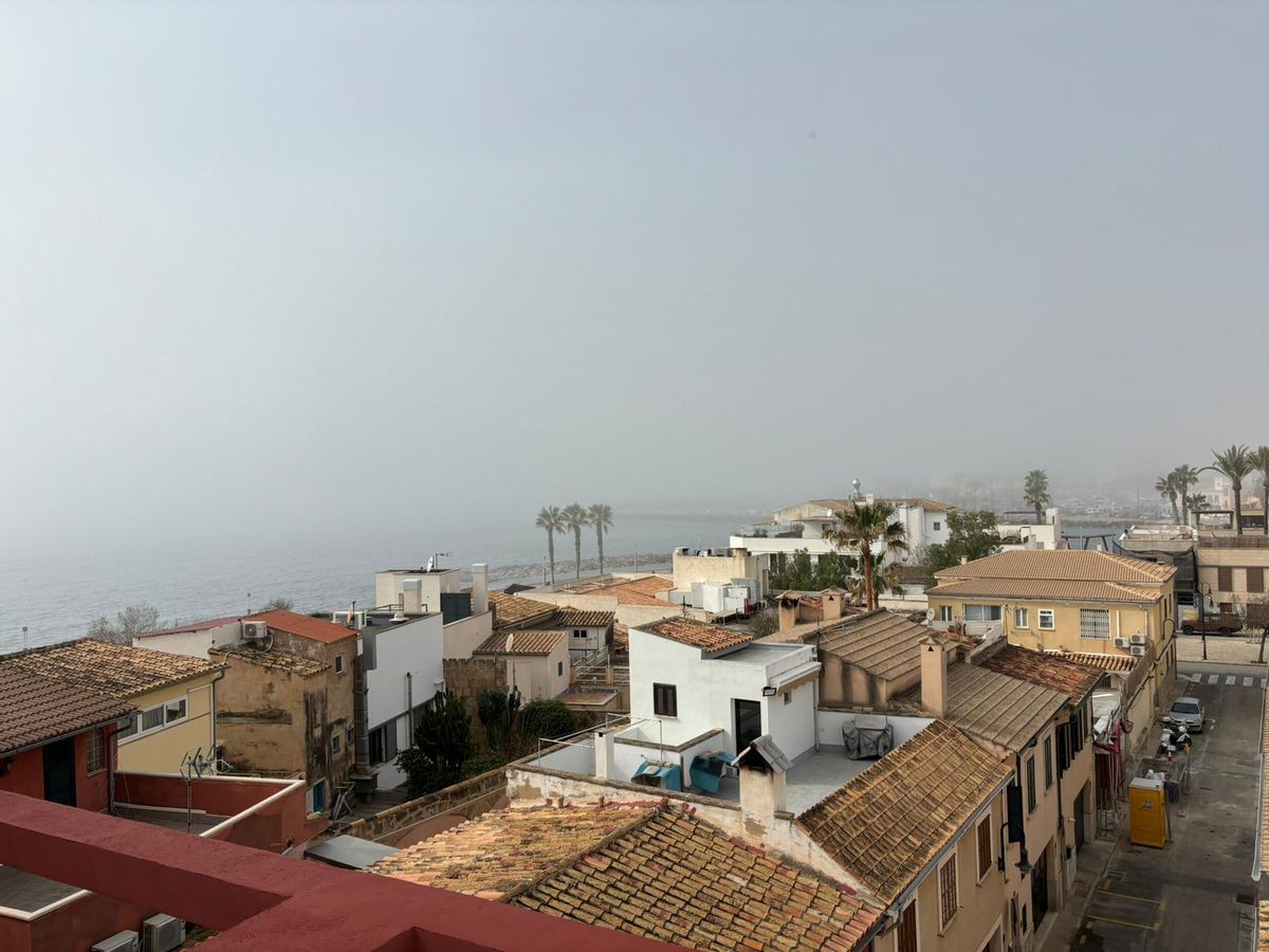 El tiempo en Mallorca: Así se ha visto la niebla que ha cubierto la bahía la primera línea de Palma