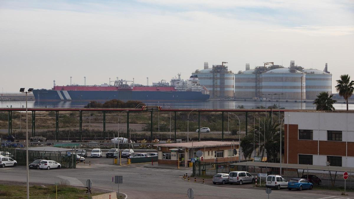 Vista de la planta de Saggas