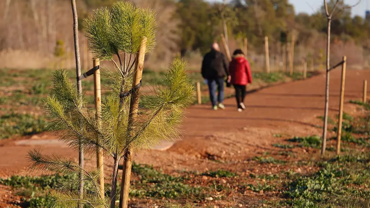 Los parques del Flamenco y Levante comienzan a florecer