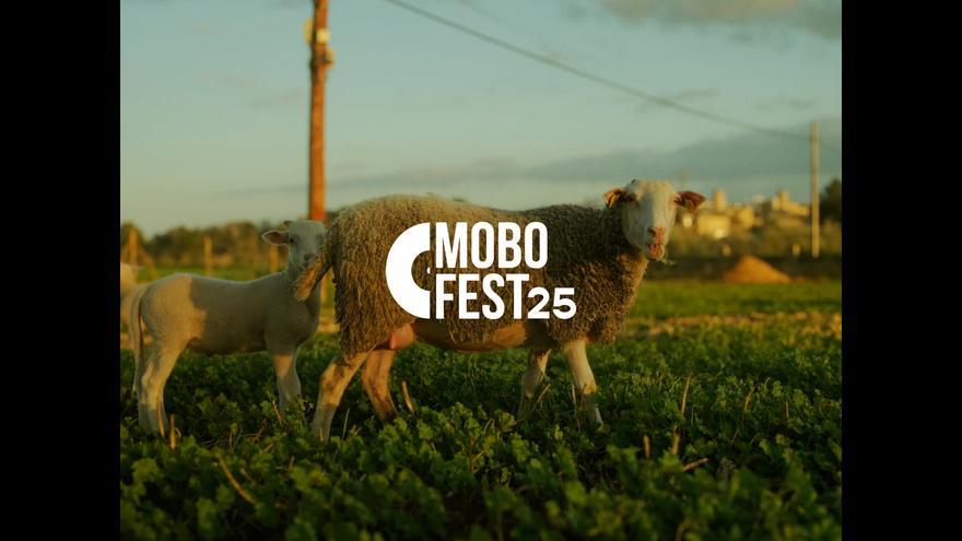 Mobofest 2025: estos son todos los artistas de su novena edición