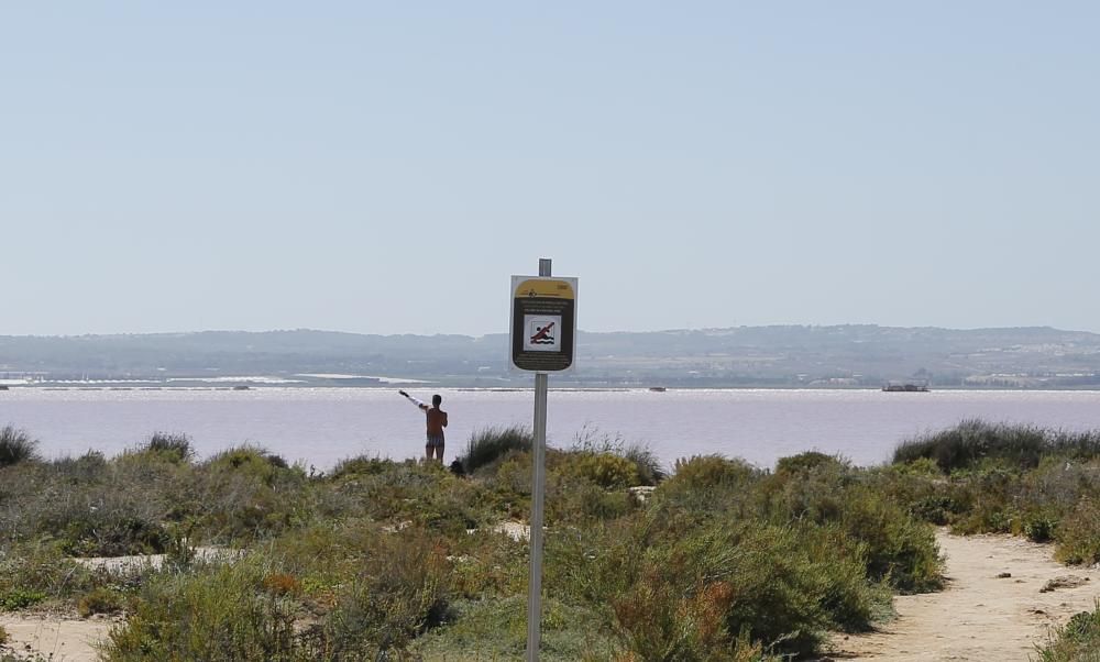 La salinera quiere evitar problemas de seguridad y vertido de residuos en las aguas de la laguna de Torrevieja y recuerda que el baño está prohibido, con nueva cartelería con el logo del Parque Natura