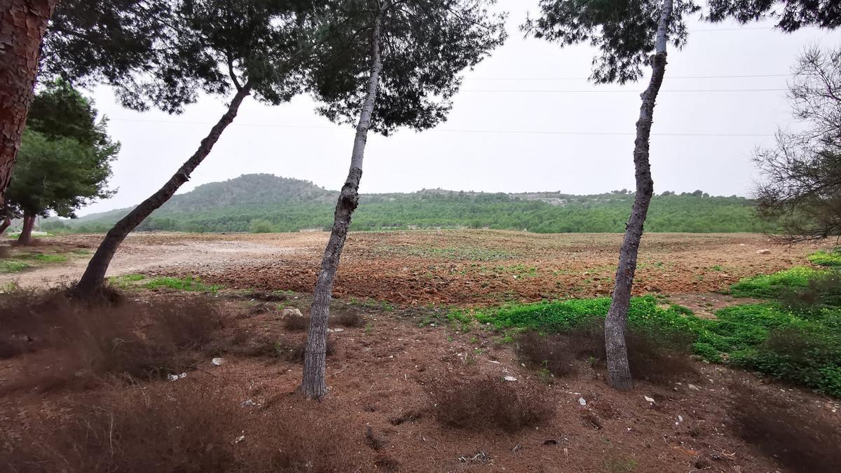 Recuperación del antiguo vertedero de escombros en Benejúzar