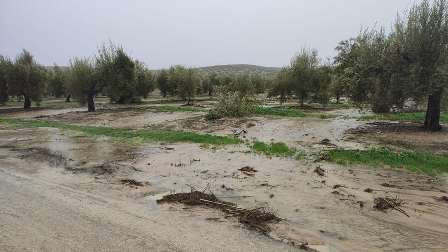 Los suelos agrícolas, víctimas silenciosas de las borrascas Leonardo y Marta en Andalucía