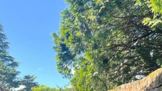 Visita al castillo de Sobroso. | D.P.