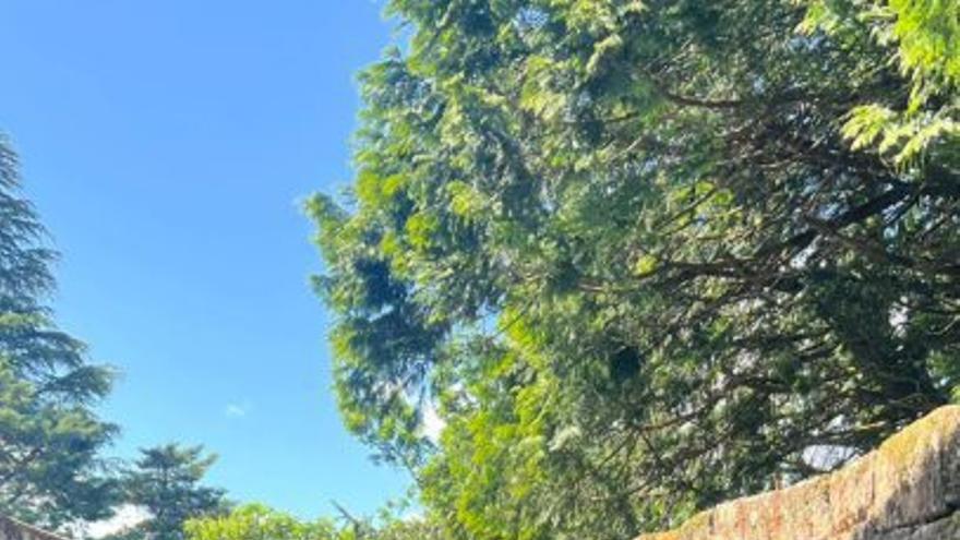 El castillo de Sobroso reabre tras solucionar sus problemas de filtraciones