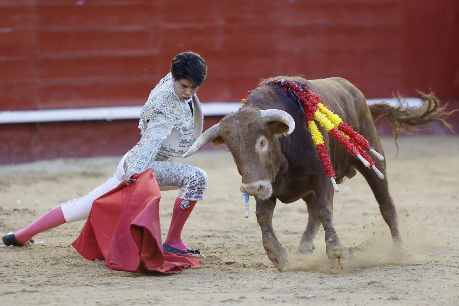 La novillada sin picadores de la Feria de Fallas, en imágenes