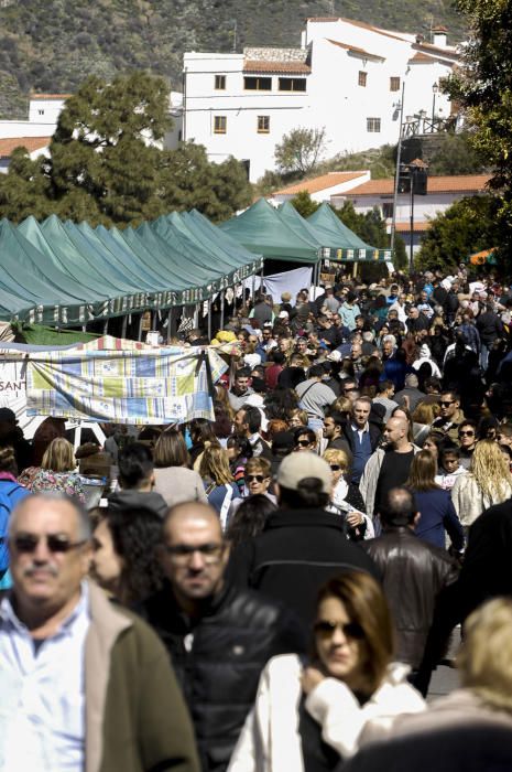 Fiesta del Almendro en Flor en Tejeda