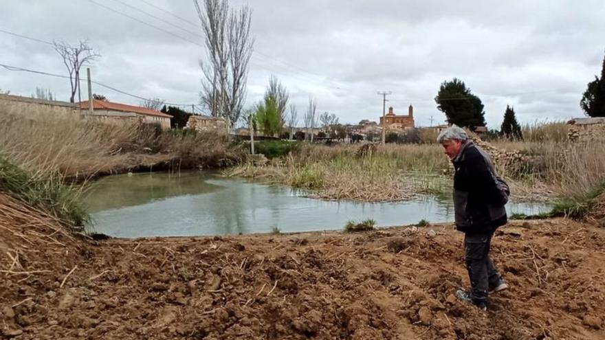 Se va a crear una piscina natural, gradas y un escenario. | SERVICIO ESPECIAL
