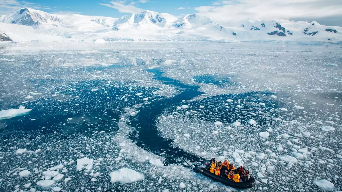 Antártida y Malvinas: ballenas y pingüinos en el paraíso helado en la próxima Expedición VIAJAR
