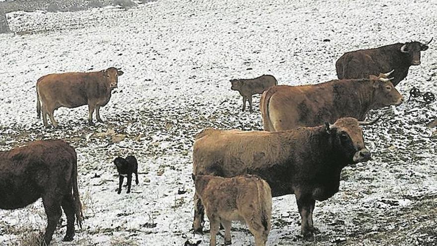 La nieve regresa al interior de Castellón a las puertas de la primavera