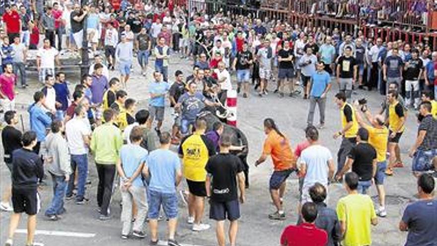 Vilafranca arranca 10 intensas jornadas con ‘bous’, desfiles y un gran ‘correfoc’