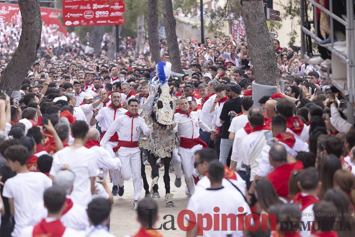 Así se ha vivido la carrera de Los Caballos del Vino en Caravaca