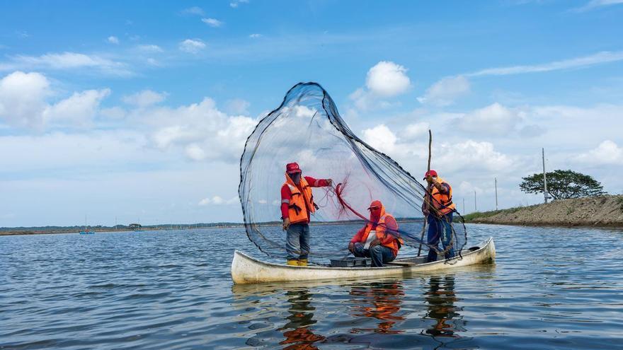 La acuicultura obra el milagro en Nueva Pescanova: es la actividad que saca al grupo de los «números rojos»