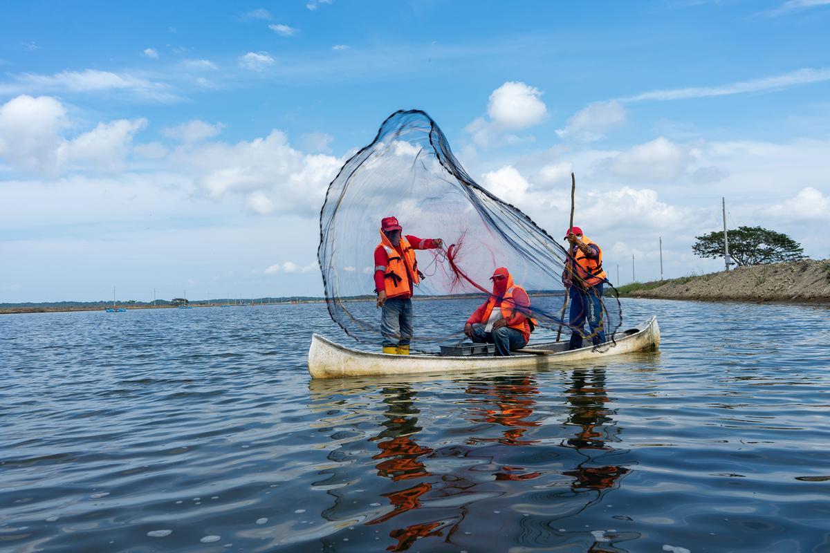 Trabajadores de la filial Promarisco de Nueva Pescanova.