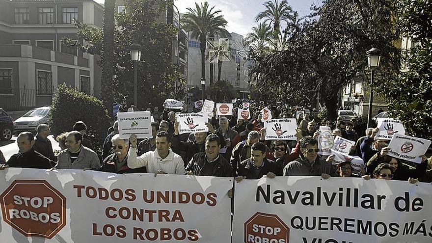 Los agricultores cifran en más de un millón de euros las pérdidas por robo de aceitunas