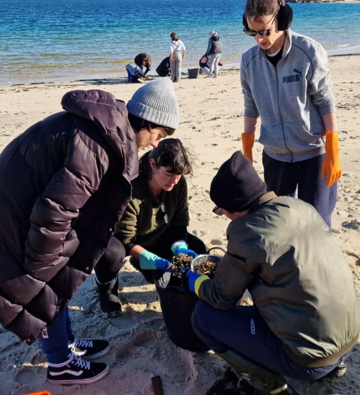 Un grupo de voluntarios filtra los plásticos en la playa de Area da Cruz de O Grove / m.m.