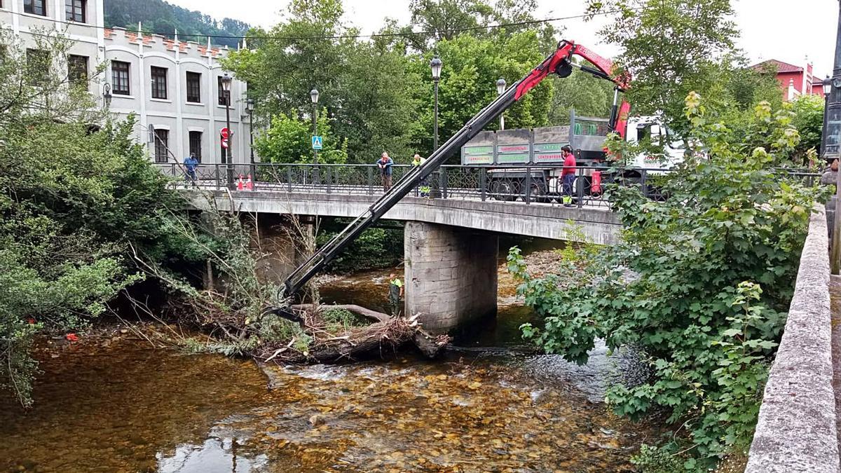 Retiran el árbol varado junto al puente de la Fábrica de Armas de Trubia | LNE