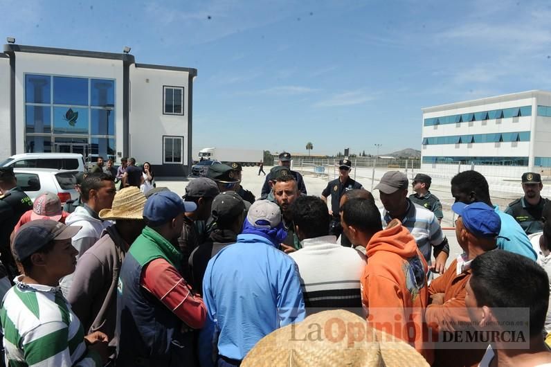 Protesta hortofrutícola en una empresa de El Raal