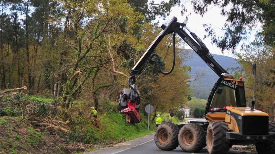 La mejora de los márgenes de las carreteras puede provocar cortes puntuales en la circulación. // I. Abella