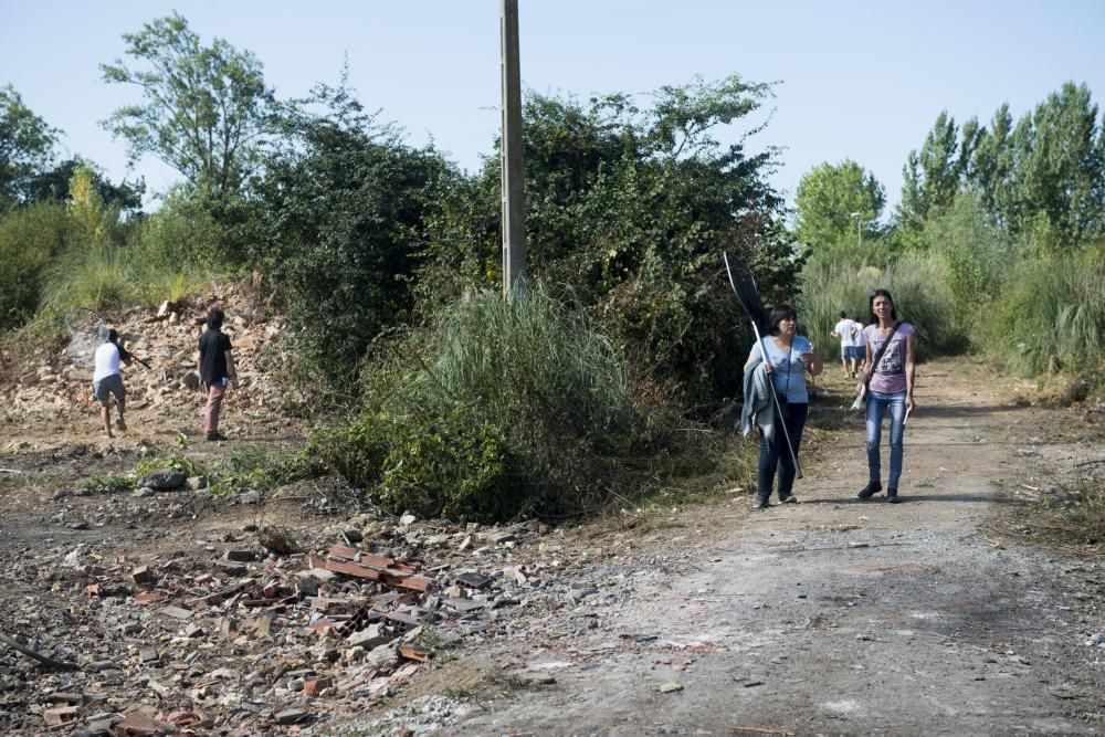 Una ONG recoge animales en La Malata