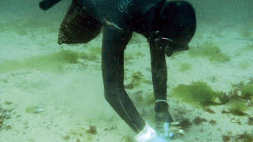 Un navalleiro extrayendo navaja en la ría de Pontevedra.  // Pedro Ferreiro